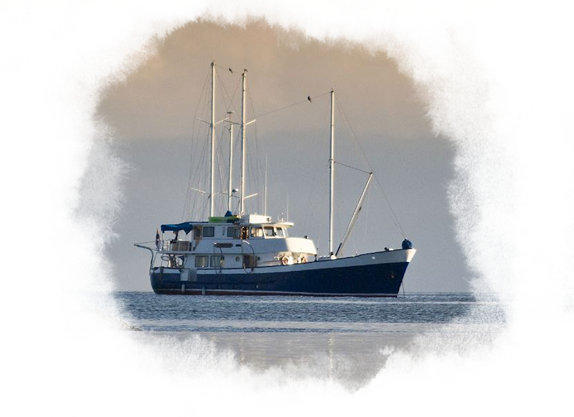 The Samba ship in the distance.