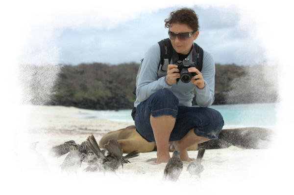 A woman is crouched down holding a camera, as she looks at the bird on the beach. There are sea lions lounging in the background.