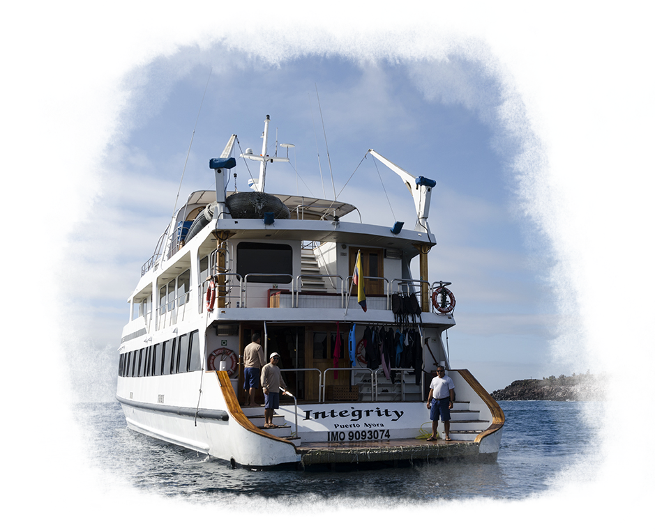 A stern view of the Integrity Ship floating out in the water.
